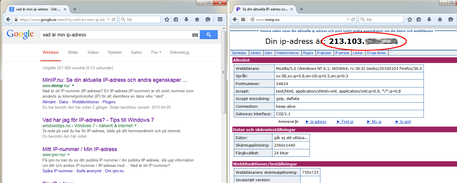IP-adress - Google