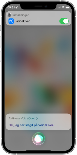 Trasig skärm - iPhone - Aktivera Voice Over - Logga in